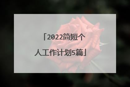 2022简短个人工作计划5篇