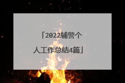 2022辅警个人工作总结4篇