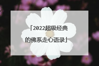 2022超级经典的佛系走心语录