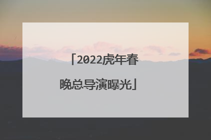 2022虎年春晚总导演曝光