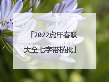 2022虎年春联大全七字带横批