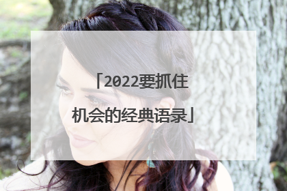 2022要抓住机会的经典语录