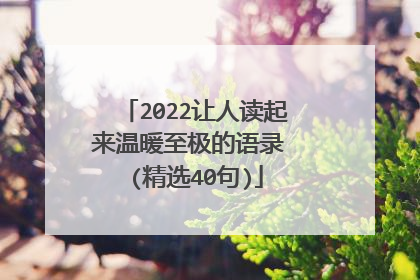 2022让人读起来温暖至极的语录 (精选40句)