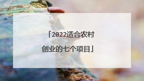 2022适合农村创业的七个项目