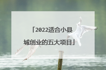 2022适合小县城创业的五大项目