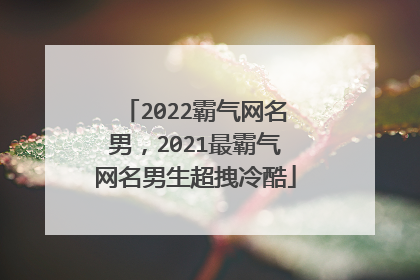 2022霸气网名男,2021最霸气网名男生超拽冷酷
