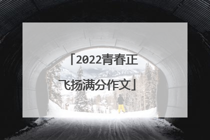 2022青春正飞扬满分作文