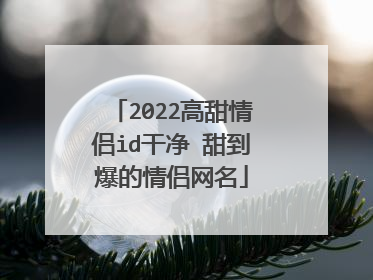 2022高甜情侣id干净 甜到爆的情侣网名