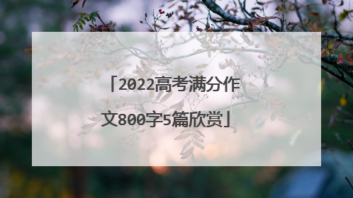 2022高考满分作文800字5篇欣赏
