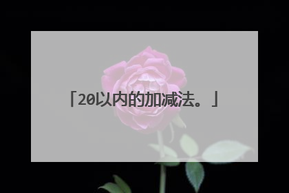 20以内的加减法。