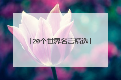 20个世界名言精选