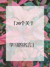 20个关于学习的名言