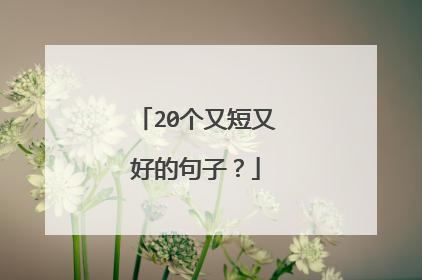 20个又短又好的句子？