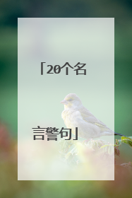 20个名言警句