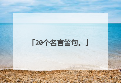 20个名言警句。