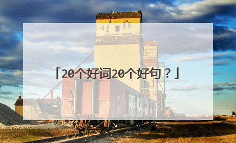 20个好词20个好句?