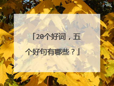 20个好词，五个好句有哪些？