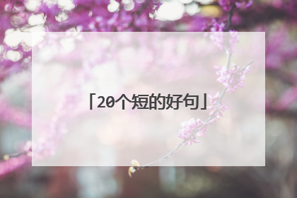 20个短的好句