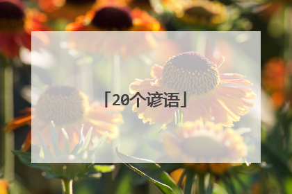 20个谚语