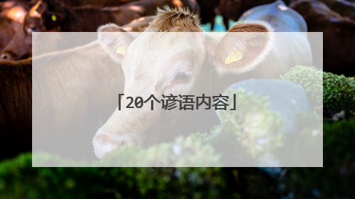 20个谚语内容