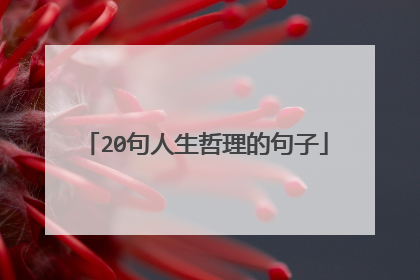 20句人生哲理的句子