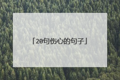 20句伤心的句子