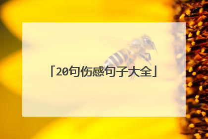 20句伤感句子大全