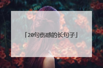 20句伤感的长句子