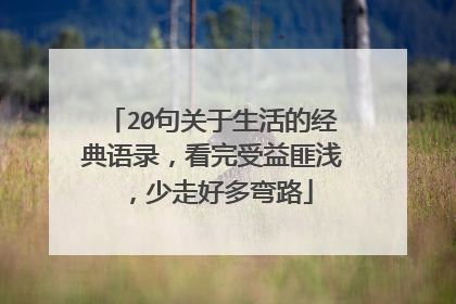 20句关于生活的经典语录,看完受益匪浅,少走好多弯路