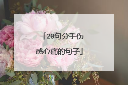 20句分手伤感心痛的句子