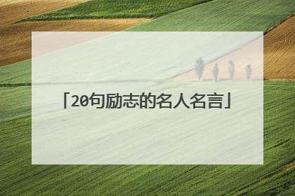 20句励志的名人名言