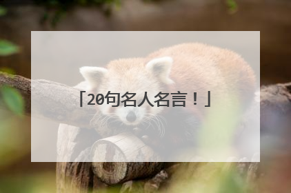 20句名人名言！
