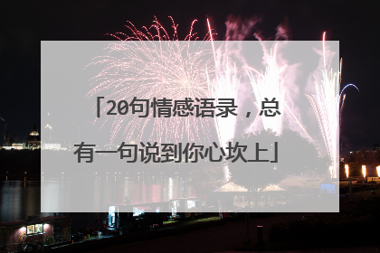 20句情感语录，总有一句说到你心坎上