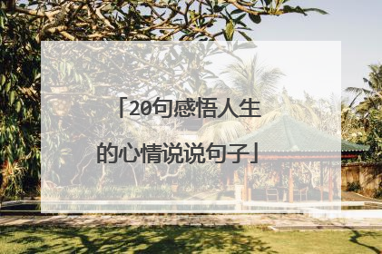 20句感悟人生的心情说说句子