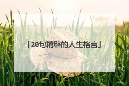 20句精辟的人生格言