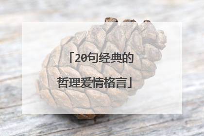 20句经典的哲理爱情格言