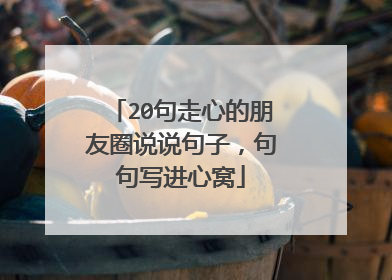 20句走心的朋友圈说说句子，句句写进心窝