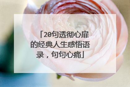 20句透彻心扉的经典人生感悟语录,句句心痛