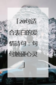 20句适合表白的爱情诗句：句句触碰心灵