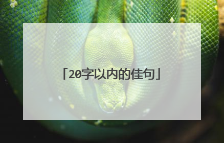 20字以内的佳句