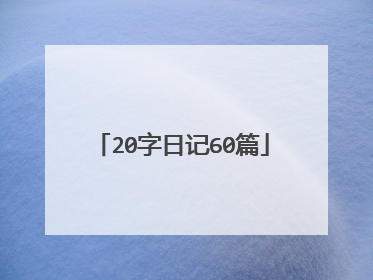 20字日记60篇