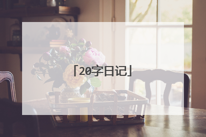20字日记