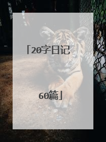 20字日记   60篇