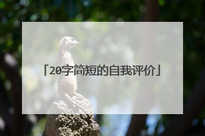 20字简短的自我评价