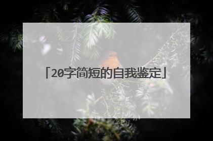 20字简短的自我鉴定