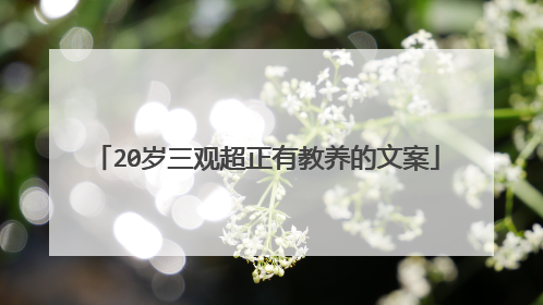 20岁三观超正有教养的文案