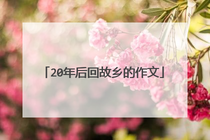 20年后回故乡的作文