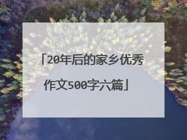 20年后的家乡优秀作文500字六篇