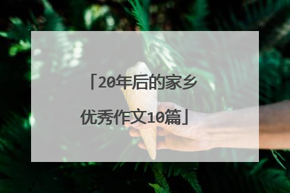 20年后的家乡优秀作文10篇