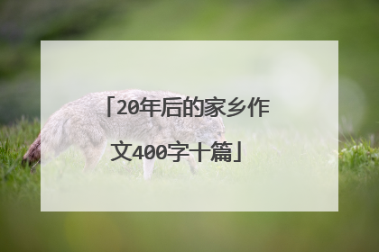 20年后的家乡作文400字十篇
